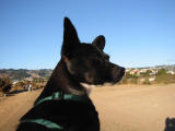 100-0035_IMG.JPG
