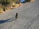 100-0039_IMG.JPG