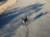 100-0044_IMG.JPG