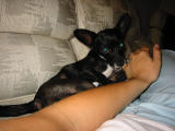 100-0049_IMG.JPG