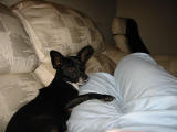 100-0052_IMG.JPG