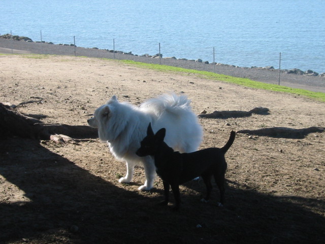 103-0350_IMG.JPG