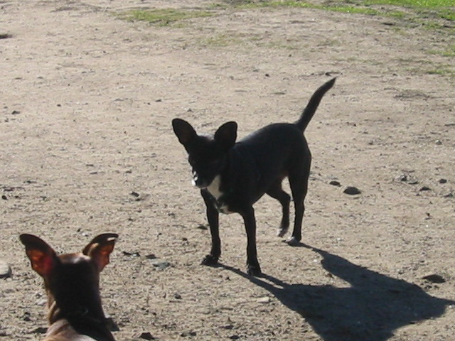103-0354_IMG.JPG