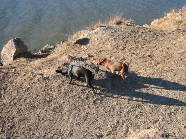 100-0024_IMG.JPG