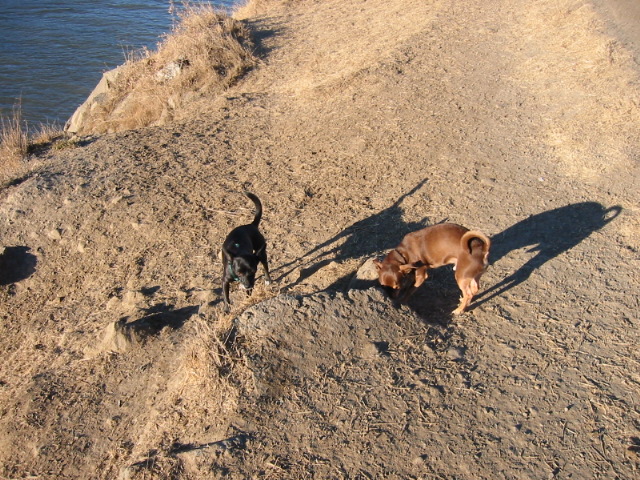 100-0026_IMG.JPG