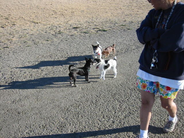 100-0028_IMG.JPG