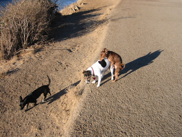 100-0031_IMG.JPG