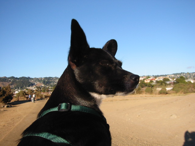 100-0035_IMG.JPG