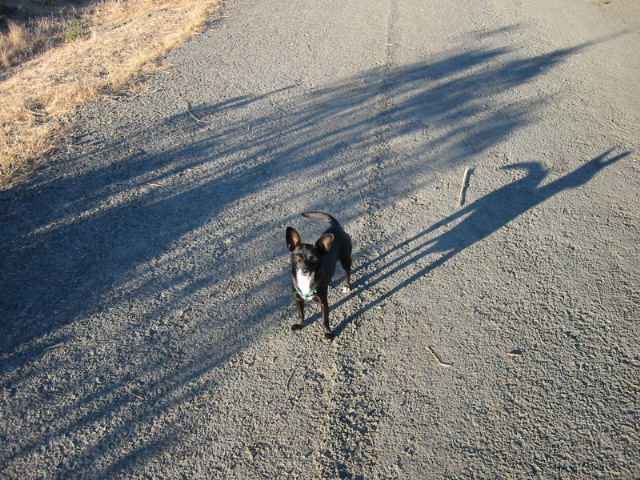 100-0044_IMG.JPG