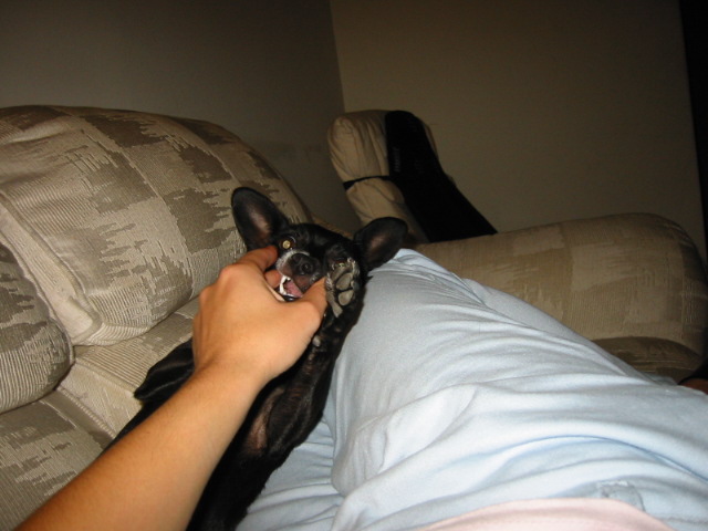 100-0048_IMG.JPG