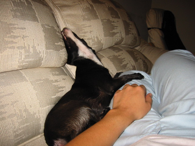 100-0050_IMG.JPG