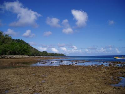 shore