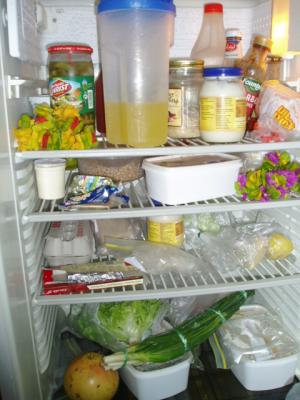 fridge-