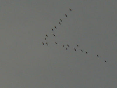 P1010014.JPG
