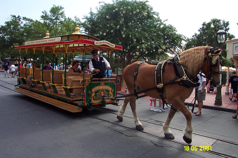 DCP_0480.JPG