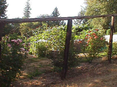 Gardens, beautiful gardens