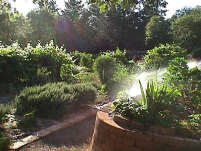 More gardens...