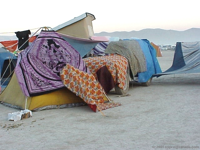 Rachel & eds camp