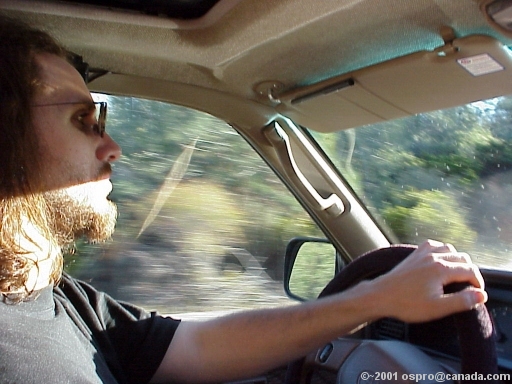 ed driving us towards the Playa!