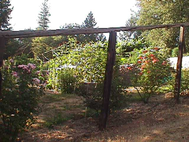 Gardens, beautiful gardens