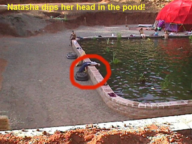 Natasha cools her head in the pond!