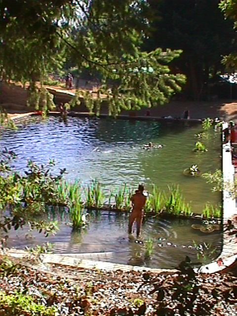 The pond... That magical pond ...