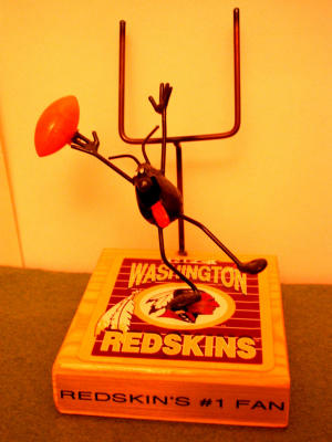 redskins.JPG