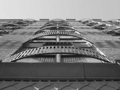 look up!
