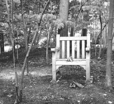 Chair in The Woods
