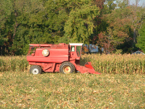 Dscf1507 copy.jpg