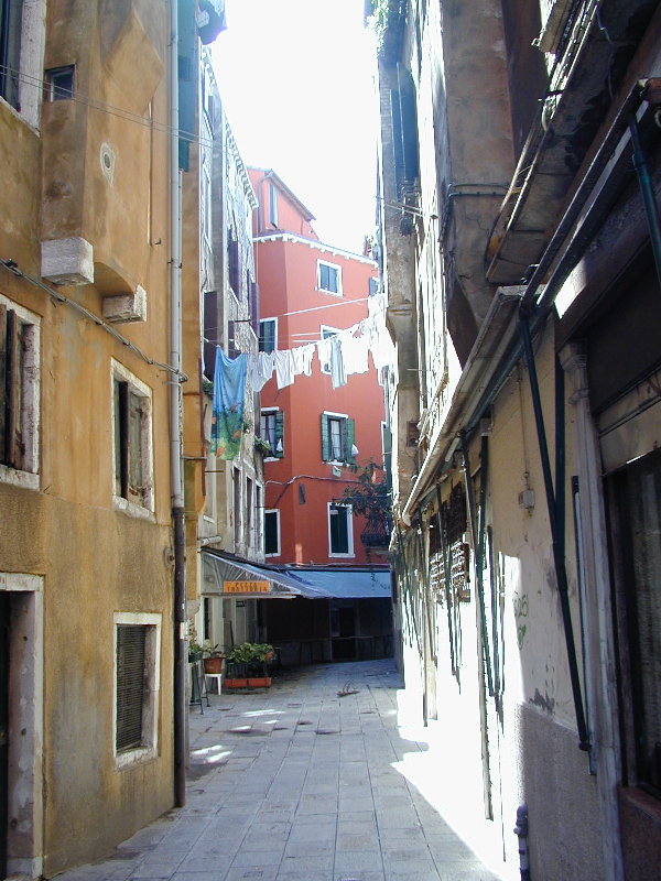 P8114735.JPG