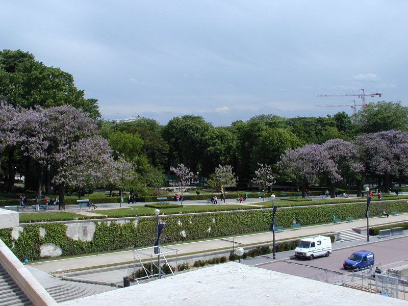 P5025295.JPG