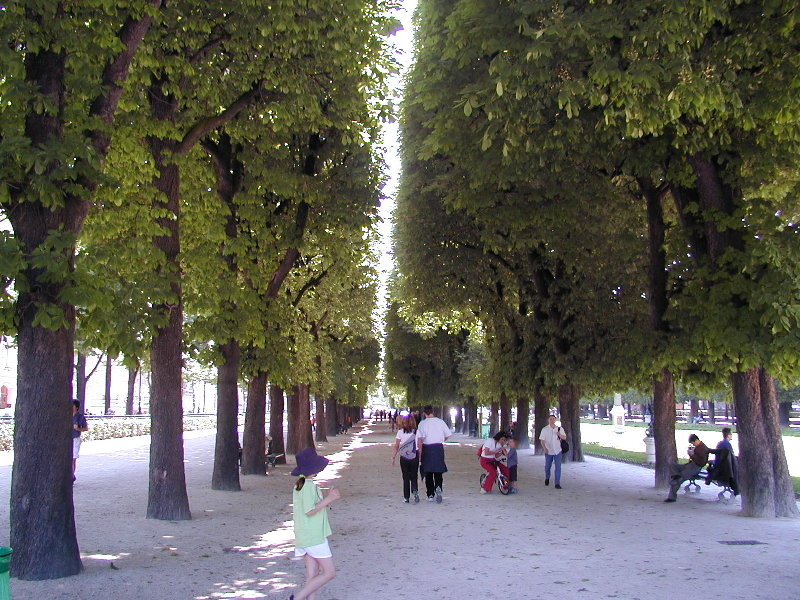 P5045550.JPG
