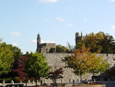 DSC01784.jpg