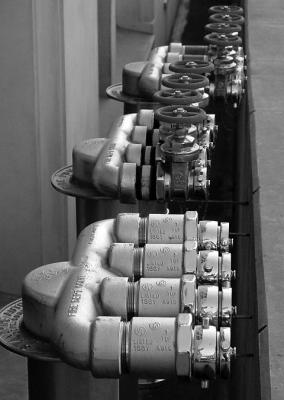 DSC01873bw.jpg