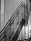 P1010082_bw.jpg