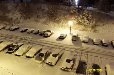 SUB-GALLERY: Snow!!!