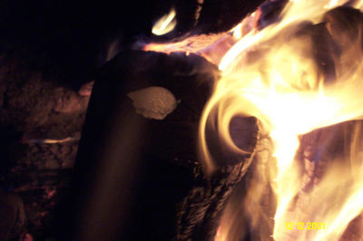 Fire 121201 046.JPG