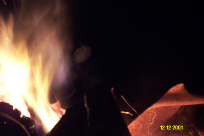 Fire 121201 048.JPG