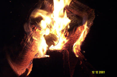 Fire 121201 121.JPG