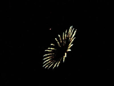 Fireworks 14.jpg