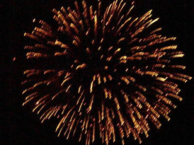 Fireworks 13.jpg