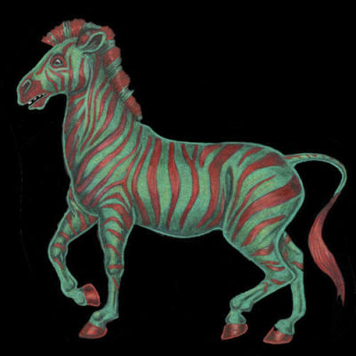 Painted Zebra