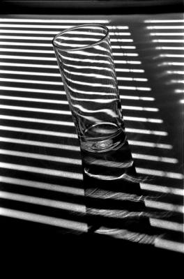 zebra glass