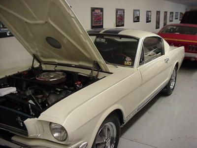 White Shelby Cobra GT 350, Dave Loebenberg collection