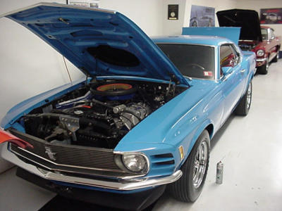 Blue Mustang, Dave Loebenberg collection