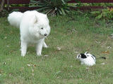 Lady Raisa and friend from next door