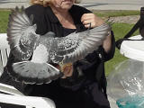 Pidgeon Lady, Coronado Island Boardwalk, Oct. 2000