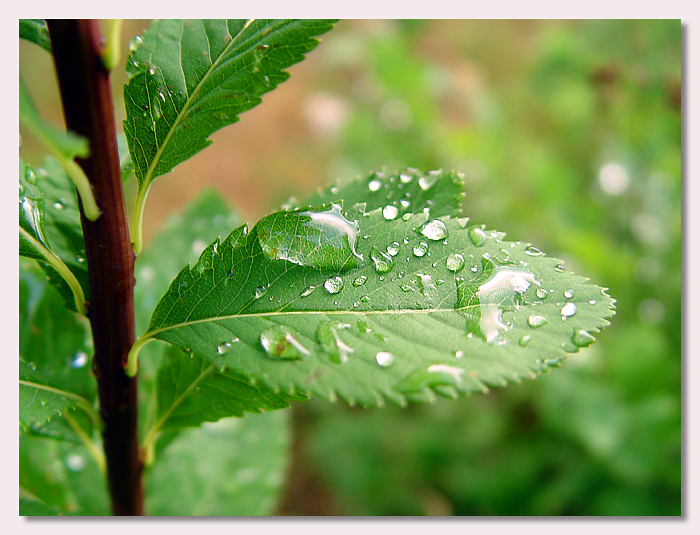 Droplets
