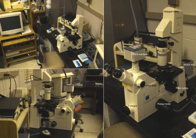Zeiss Axiovert Microscope - (Steve Wolniak)